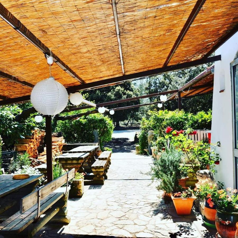 Hotel Domaine du Bérange à Saint-Geniès-des-Mourgues Extérieur photo